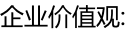 企業(yè)價值觀:
